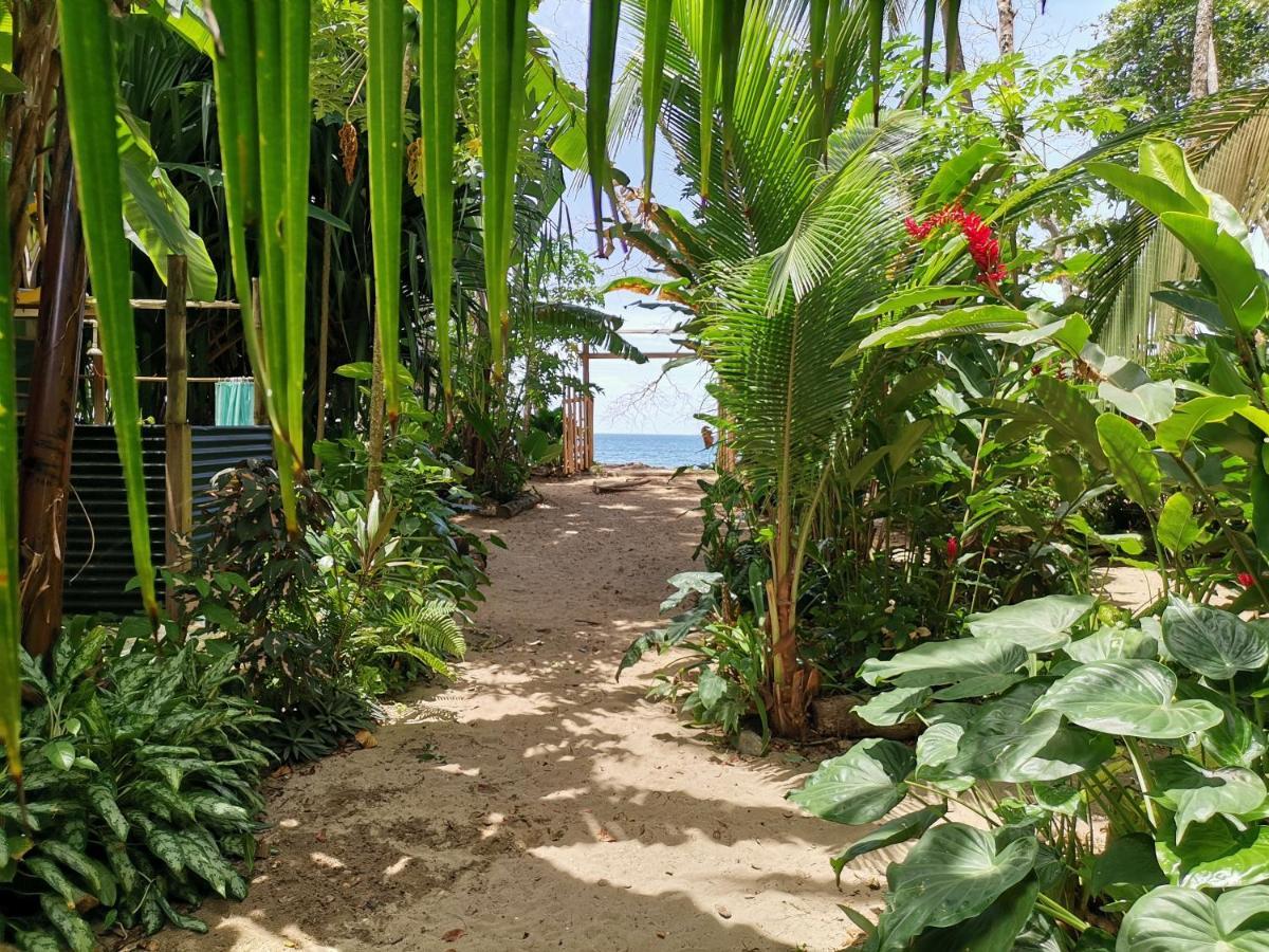 Oasis Beachfront Hostel Puerto Limon Ngoại thất bức ảnh