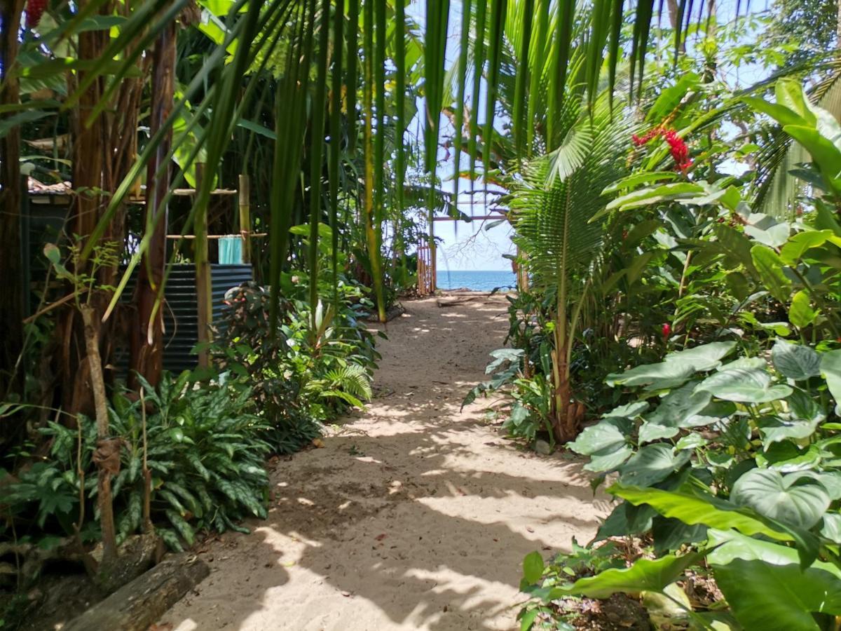 Oasis Beachfront Hostel Puerto Limon Ngoại thất bức ảnh