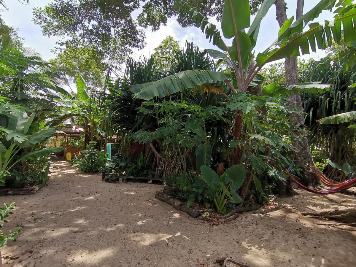 Oasis Beachfront Hostel Puerto Limon Ngoại thất bức ảnh
